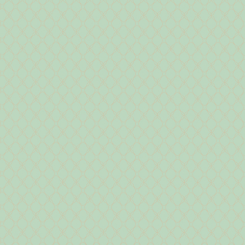 54315-6