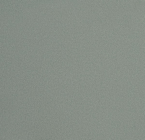 54355-31
