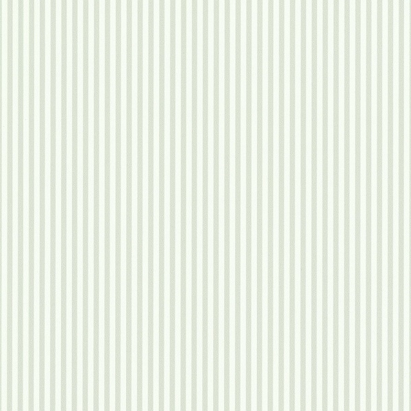 54365-4