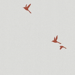 Андреа Росси Спектрум Бокс (Италия)