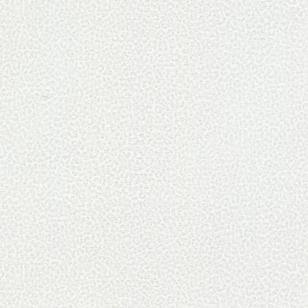 19020
