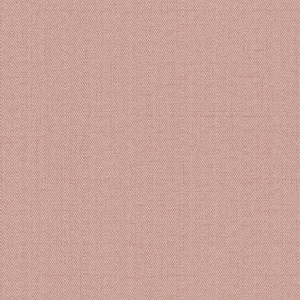 Алессандро Аллори Бруни (Италия)