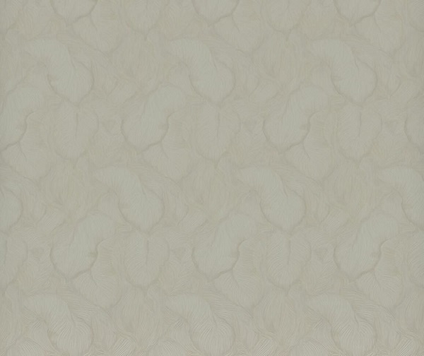 R23127