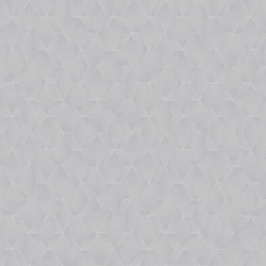 Artsimple Geometry (Россия)
