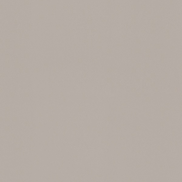 a100207