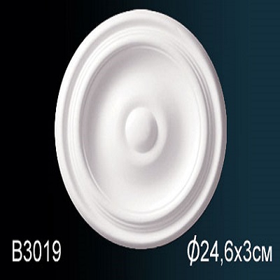 B3019